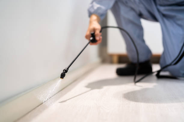 Bed Bug Pre-Treatment Preparation Assessment in Poncha Springs