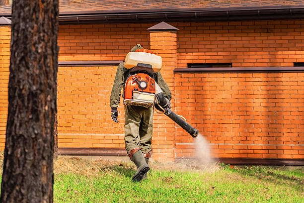 Bed Bug Clearance Verification and Documentation in Poncha Springs
